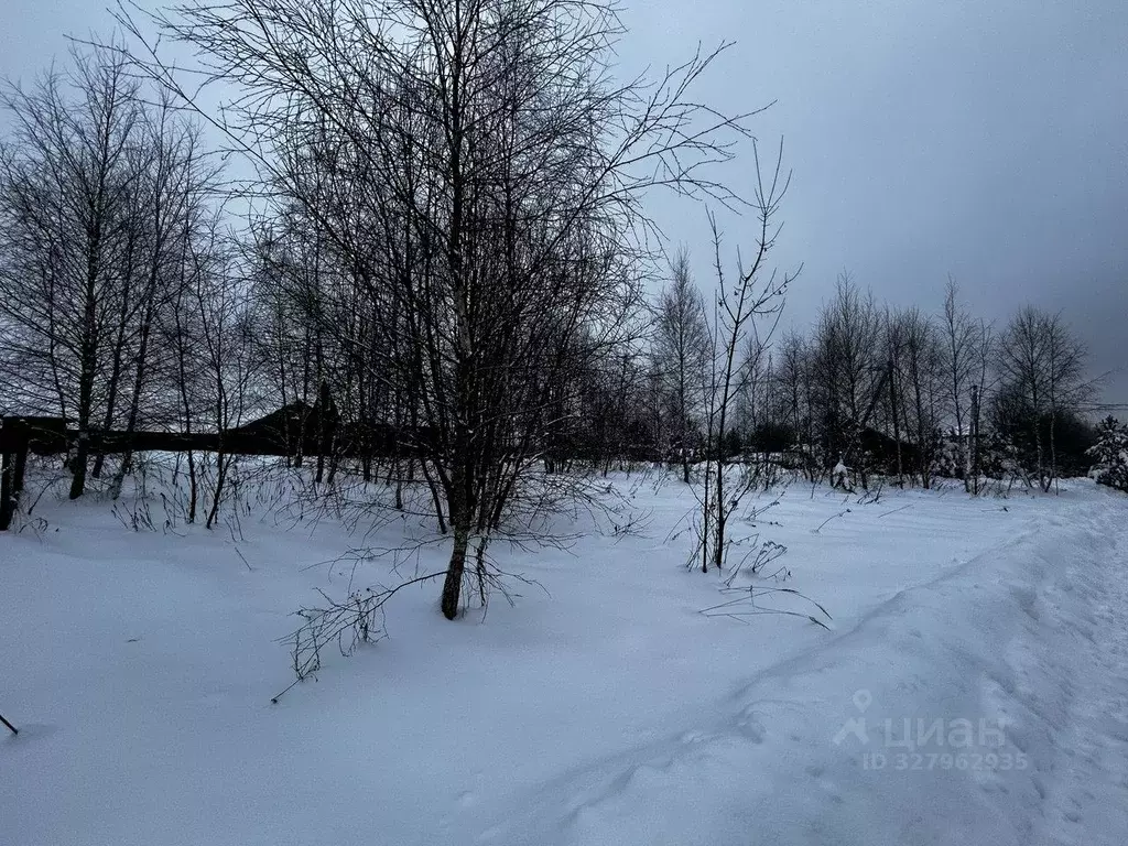 Участок в Московская область, Ступино городской округ, пос. Новоселки ... - Фото 1