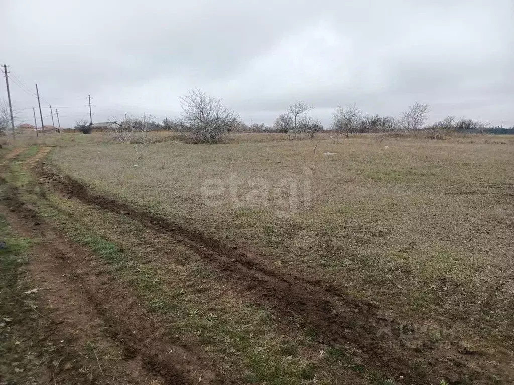 Участок в Крым, Черноморский район, с. Новосельское, Таврия СНТ ул. ... - Фото 1