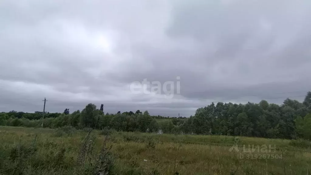 Участок в Белгородская область, Белгородский район, Беловское с/пос, ... - Фото 1