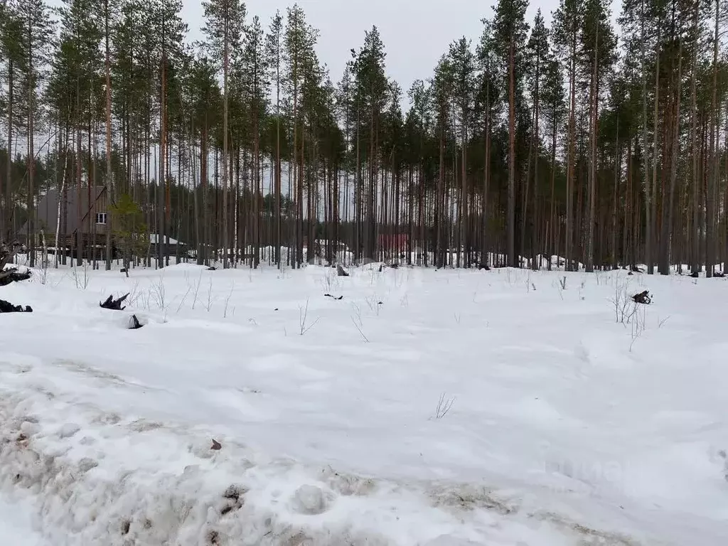 Участок в Коми, Сыктывкар городской округ, Краснозатонский пгт ул. ... - Фото 1