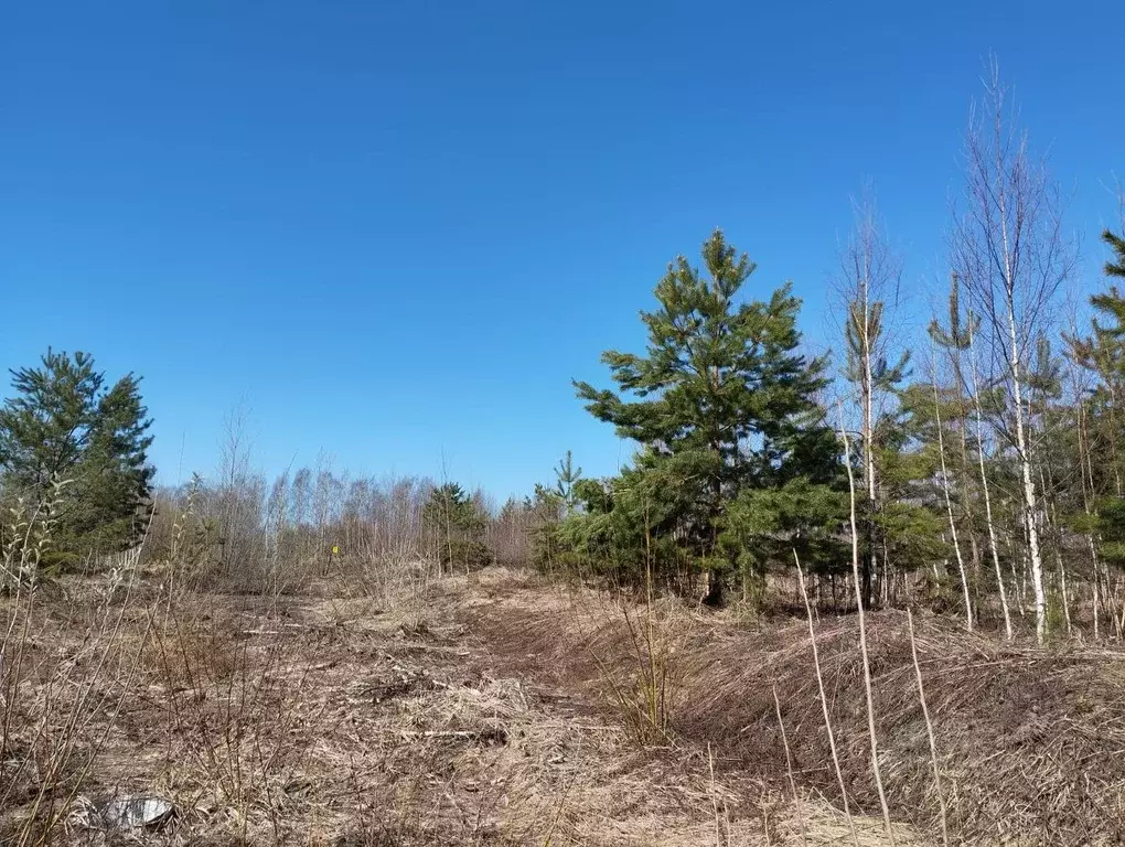 Участок в Нижегородская область, Нижний Новгород д. Кусаковка,  (9.0 ... - Фото 1