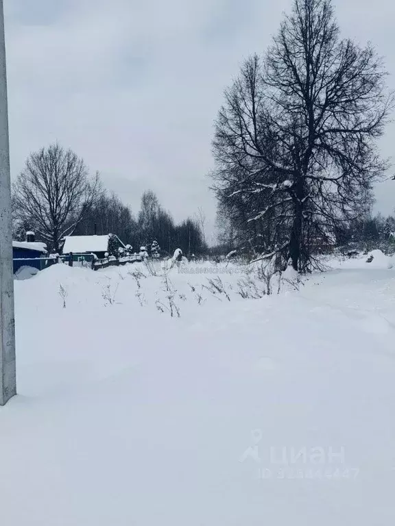 Участок в Московская область, Воскресенск городской округ, д. ... - Фото 2