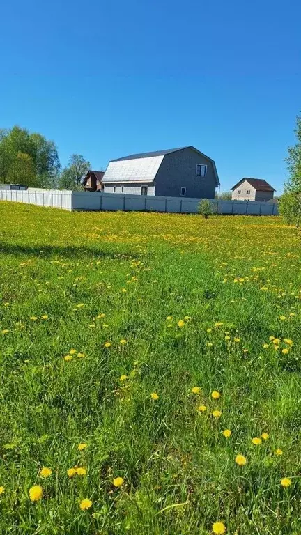 Участок в Новгородская область, Новгородский район, Савинское с/пос, ... - Фото 1