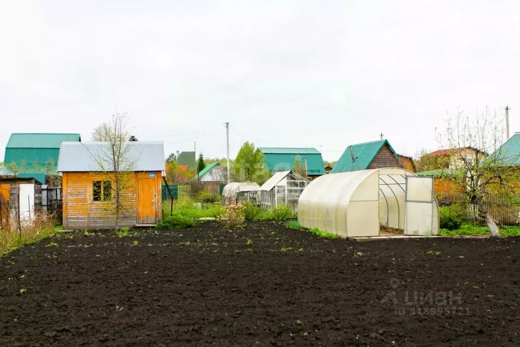 Дом в Новосибирская область, Новосибирск Светофор СНТ, 229 (10 м) - Фото 0