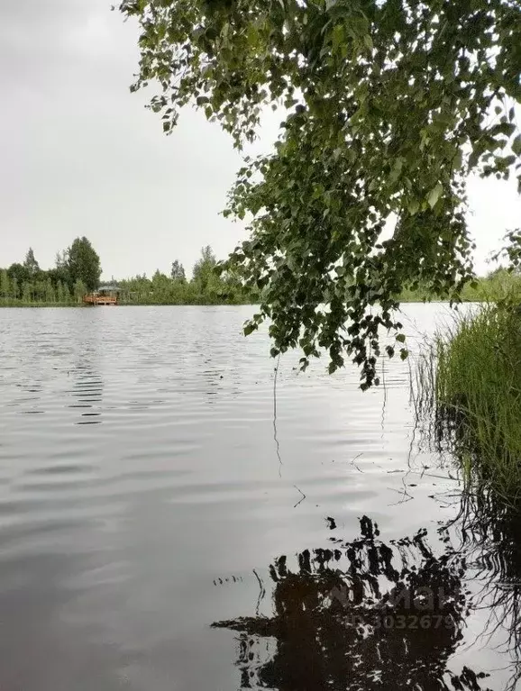 Дом в Ленинградская область, Приозерский район, Раздольевское с/пос, ... - Фото 0