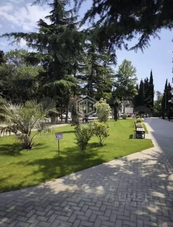 2-к кв. Крым, Ялта муниципальный округ, Восход пгт ул. Авроры, 77 ... - Фото 2