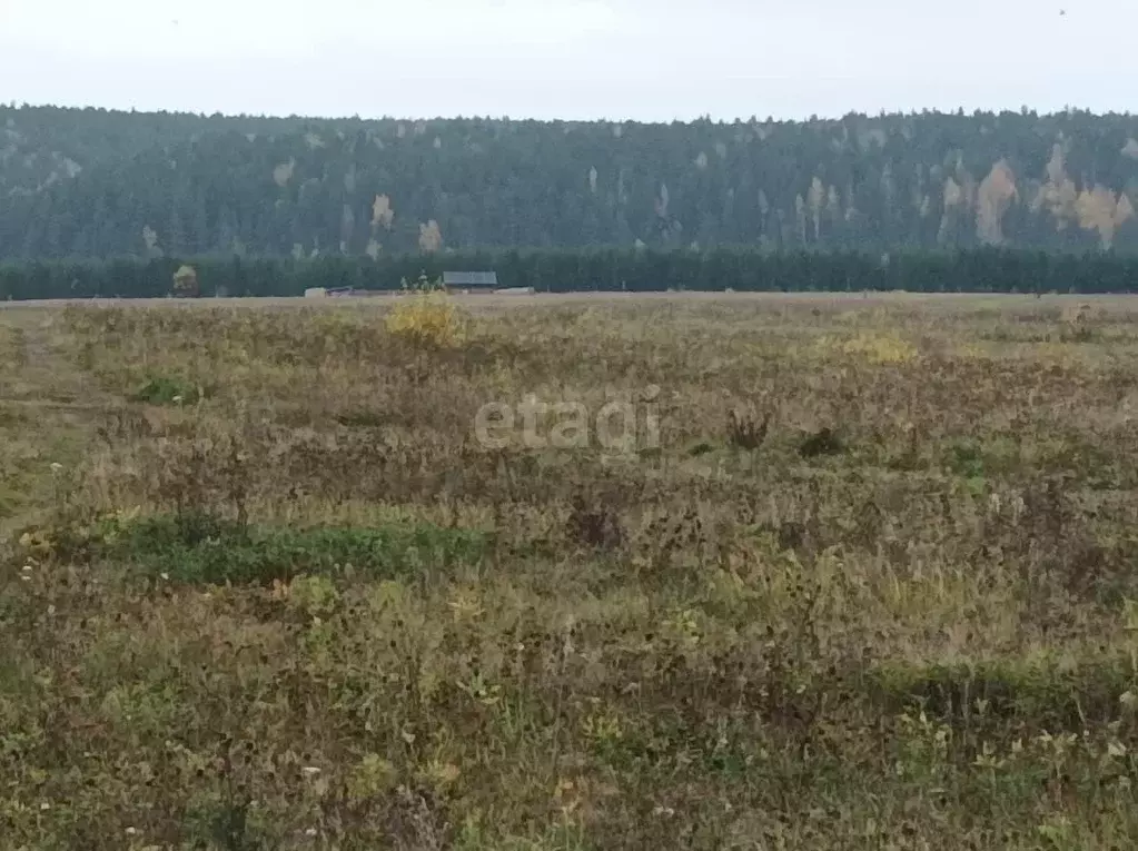 Участок, 10 сот., поселения (ижс) - Фото 1