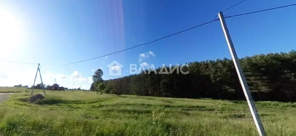 Участок в Нижегородская область, Богородский муниципальный округ, д. ... - Фото 2