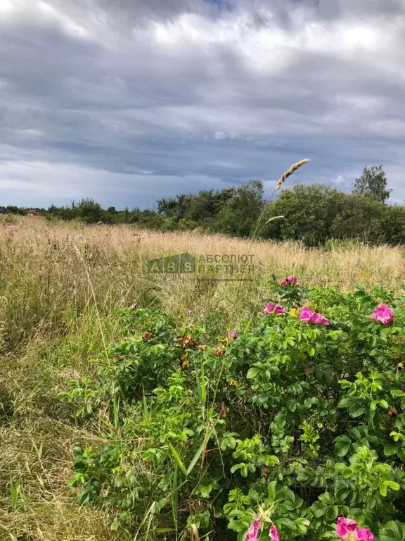 Участок в Новгородская область, Новгородский район, Ермолинское с/пос, ... - Фото 1