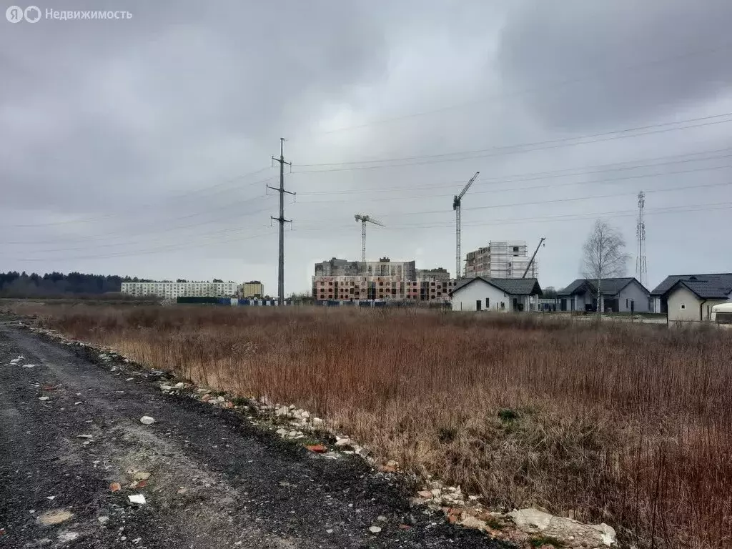 Участок в Зеленоградск, посёлок Вишнёвое (8 м) - Фото 1