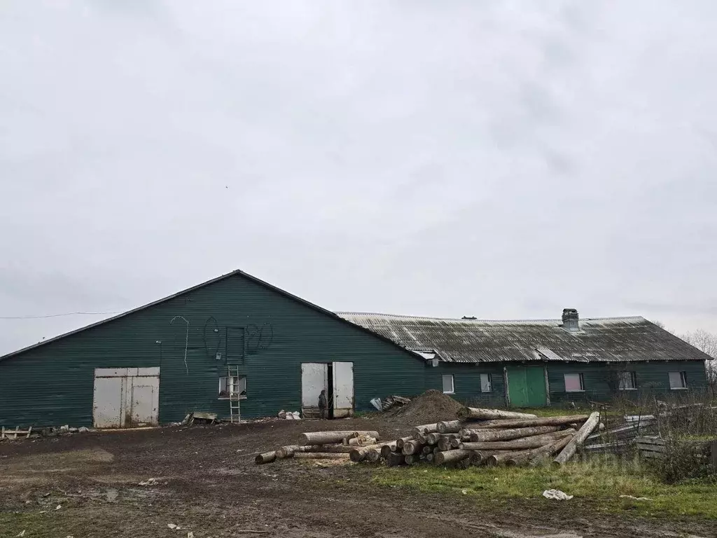 Производственное помещение в Пермский край, Добрянский муниципальный ... - Фото 1