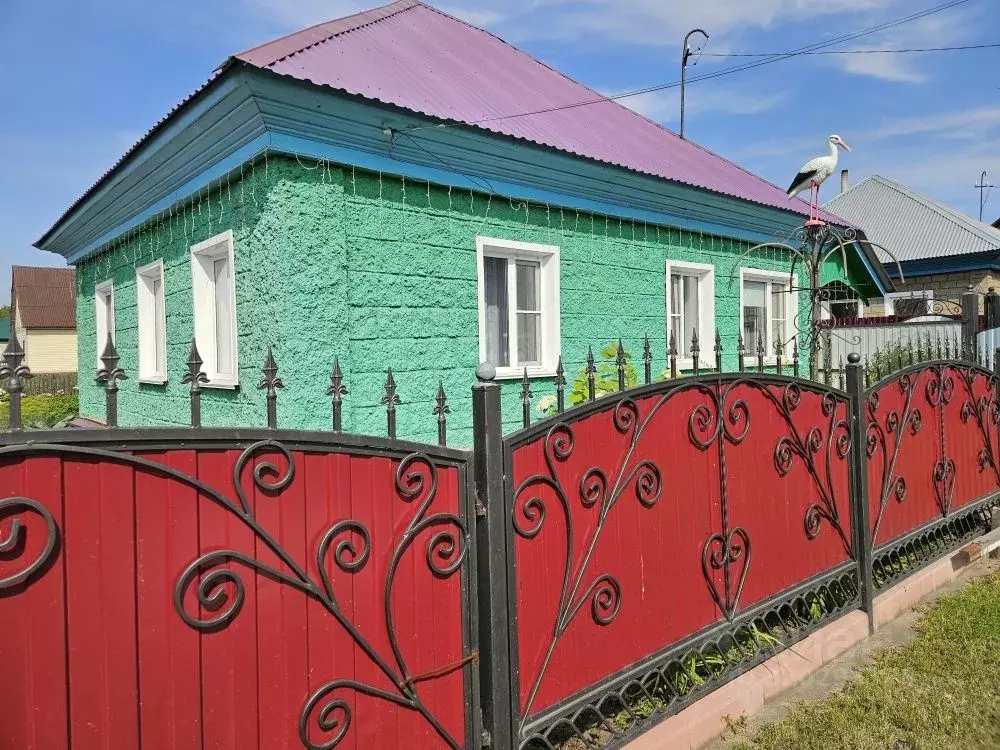 Дом в Новосибирская область, Тогучин ул. Тюленина, 29 (65 м) - Фото 1