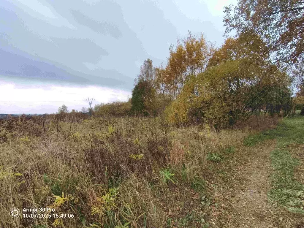 Участок в Калужская область, Жуковский район, Тарутино с/пос, д. ... - Фото 2