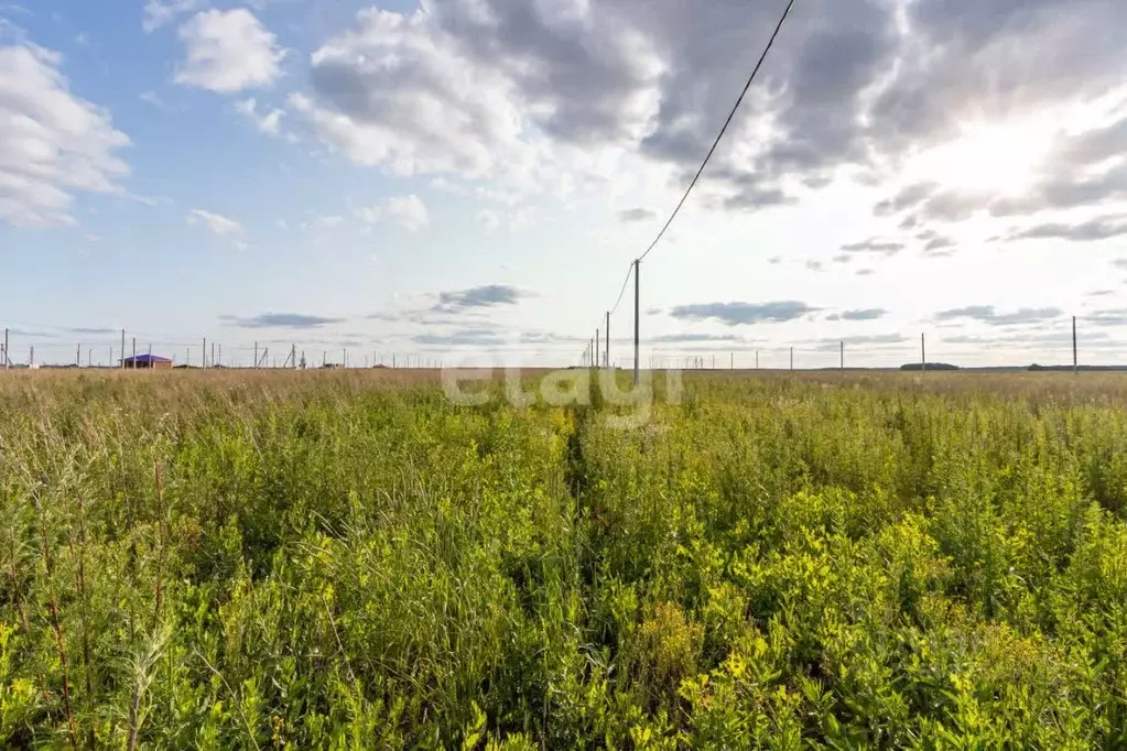 Участок в Тюменская область, Тюменский муниципальный округ, д. ... - Фото 1