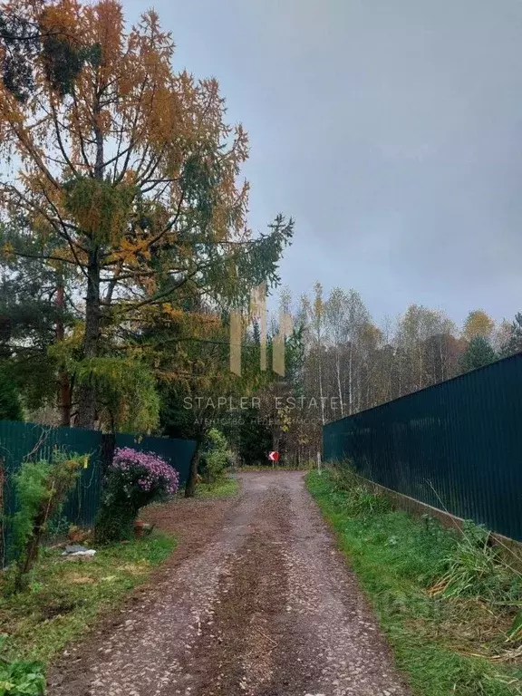 Участок в Московская область, Солнечногорск городской округ, д. ... - Фото 1