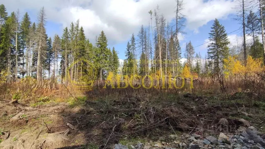 Участок в Свердловская область, Ревда ул. Пугачева (10.0 сот.) - Фото 1