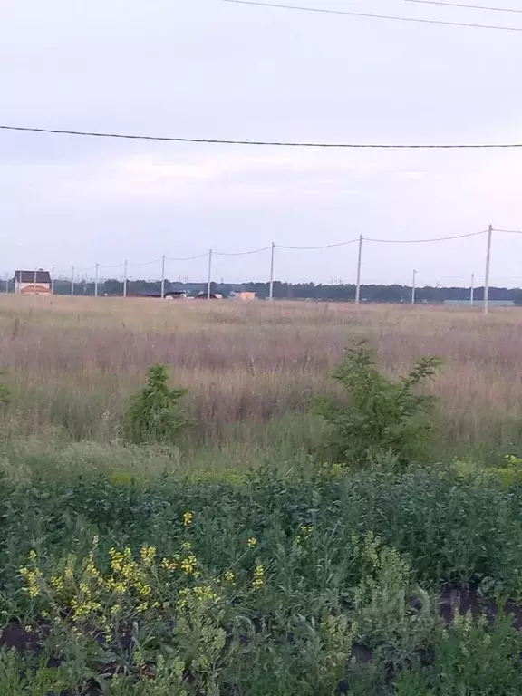 Участок в Тамбовская область, Тамбов ул. Имени Андрея Платонова, 3 ... - Фото 0