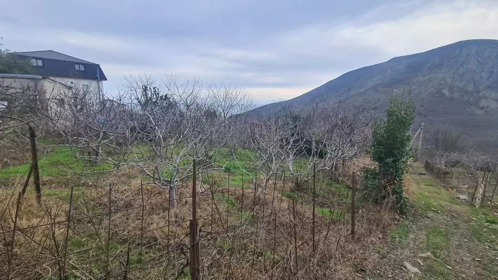 Участок в Крым, Алушта городской округ, с. Лавровое ул. Табачная, 10 ... - Фото 0