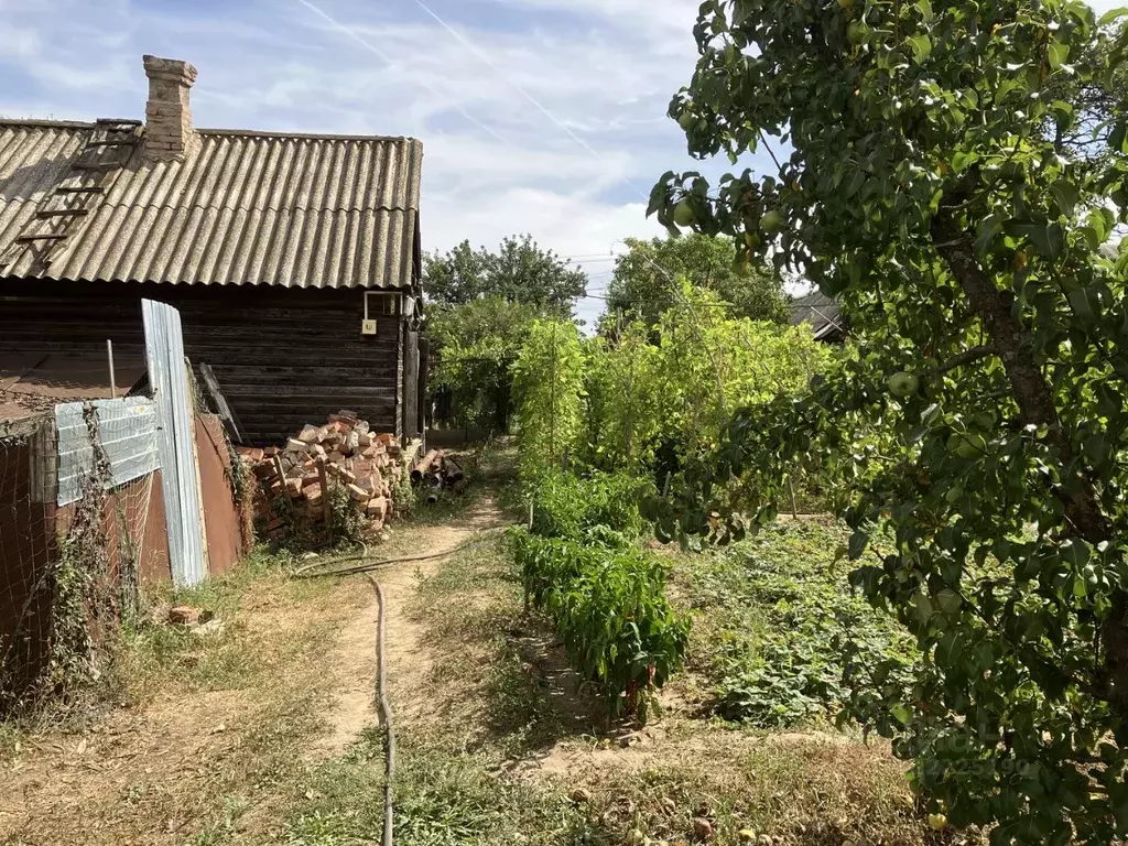 Участок в Волгоградская область, Волгоград Абхазская ул., 43 (5.0 ... - Фото 2