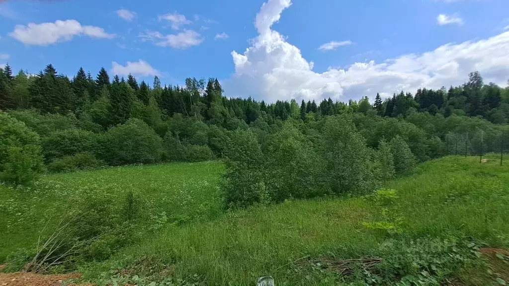 Участок в Московская область, Дмитровский городской округ, д. Шихово  ... - Фото 1