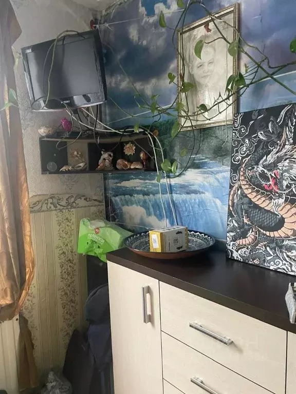 1-к кв. Ленинградская область, Всеволожский район, д. Новое Девяткино ... - Фото 2