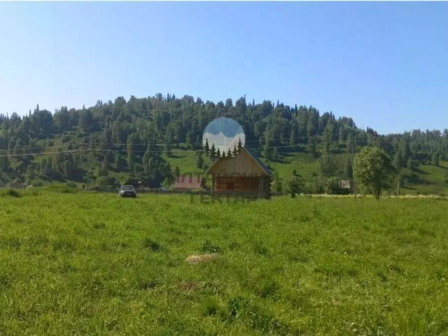 Дом в Алтай, Чойский район, Паспаульское с/пос, с. Левинка  (47 м) - Фото 1