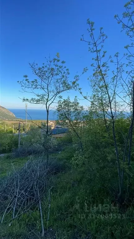 Участок в Крым, Ялта городской округ, Краснокаменка пгт ул. Имени ... - Фото 1