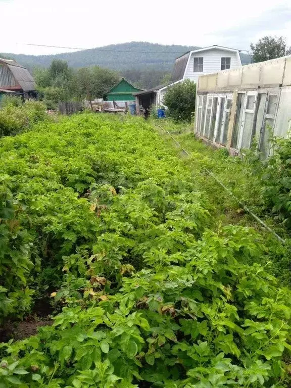 Дом в Златоуст, СНТ Южный (52 м) - Фото 2