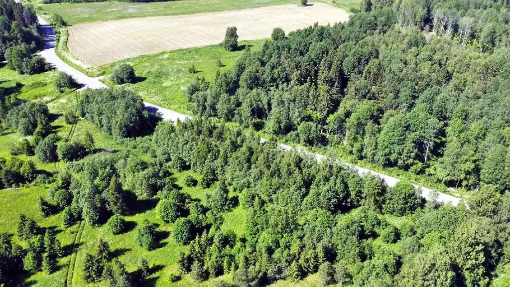 Участок в Карелия, Сортавальский муниципальный округ, пос. Киркколахти ... - Фото 2