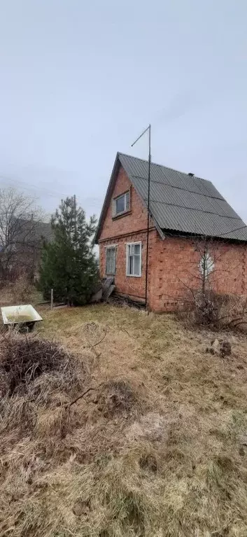 Дом в Омская область, Омский район, Новоомское с/пос, Зеленый Берег ... - Фото 2