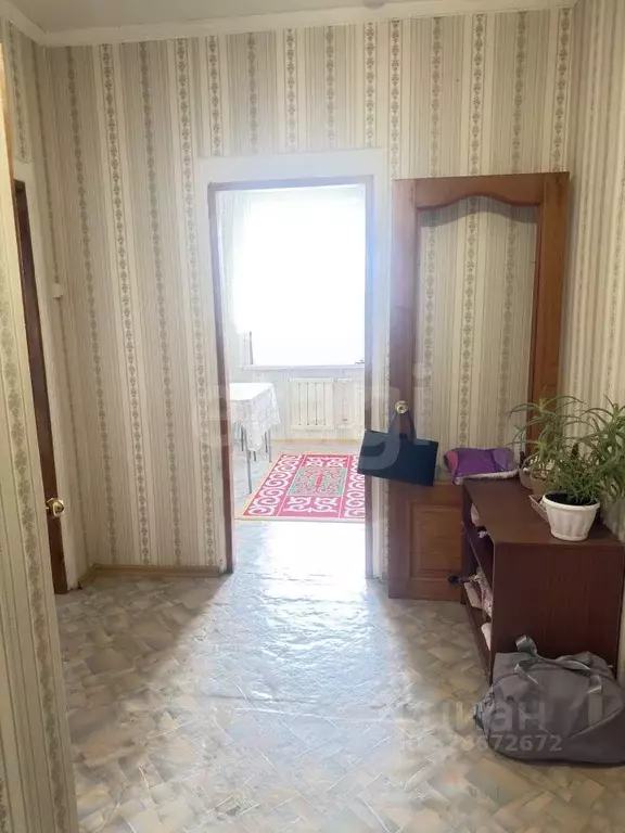 1-к кв. Алтай, Майминский район, с. Майма Подгорная ул. (30.9 м) - Фото 2