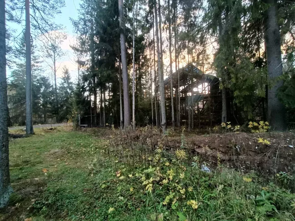 Участок в Ленинградская область, Гатчинский район, Вырица городской ... - Фото 1