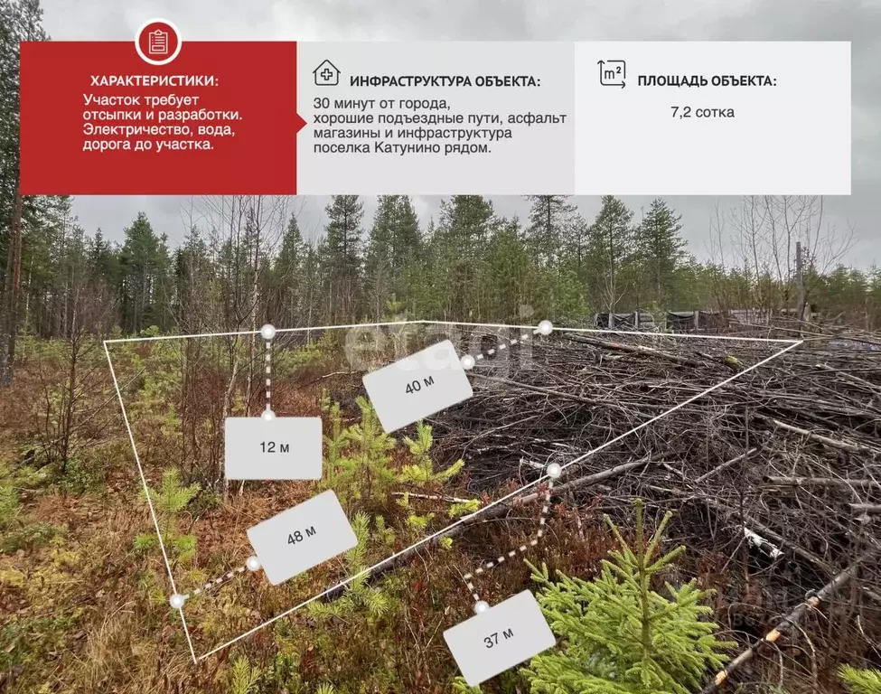 Участок в Архангельская область, Приморский муниципальный округ, ... - Фото 1