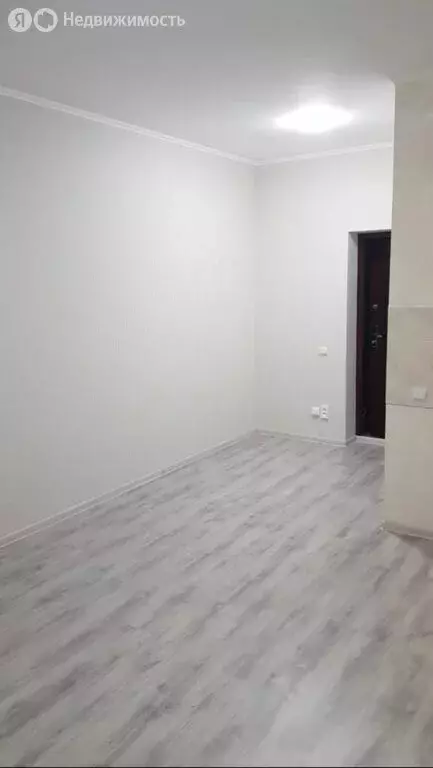 1-комнатная квартира: Российский, улица Шевкунова, 20 (23 м) - Фото 2