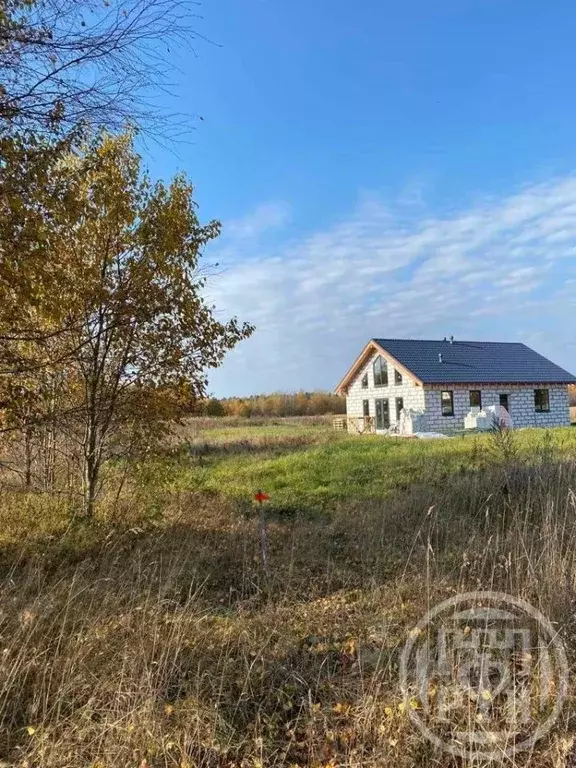 Дом в Ленинградская область, Лужский район, Заклинское с/пос, д. ... - Фото 1