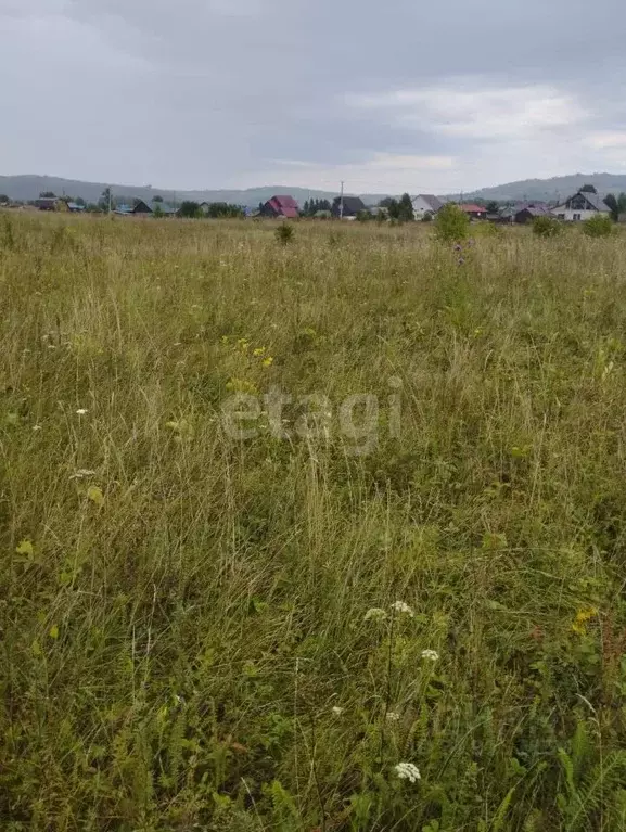 Участок в Алтайский край, Советский район, с. Платово Молодежная ул., ... - Фото 0