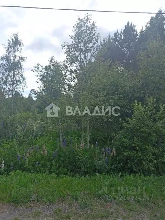 Участок в Ленинградская область, Выборгский район, Каменногорское ... - Фото 2