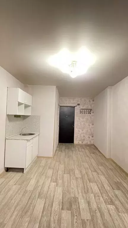 Студия Татарстан, Казань Индустриальная ул., 15 (17.0 м) - Фото 2