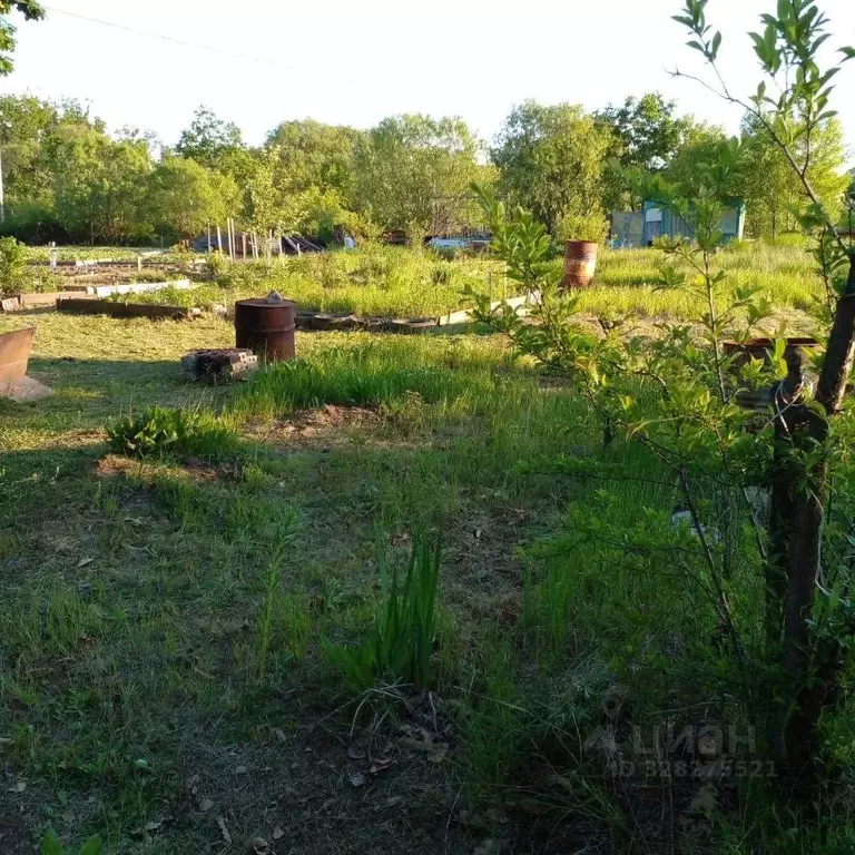 Участок в Еврейская автономная область, Смидовичский район, Победа СНТ ... - Фото 1