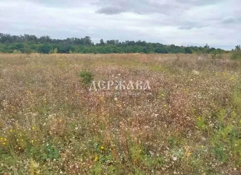 Участок в Белгородская область, Старый Оскол 7 (15.0 сот.) - Фото 1