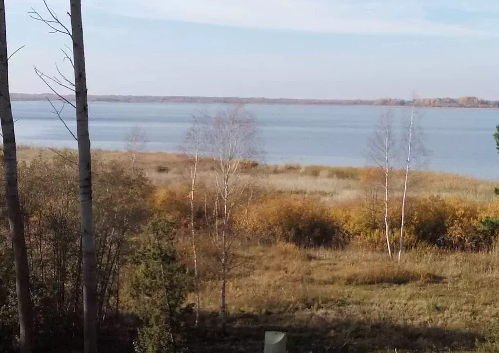 Участок в Псковская область, Пушкиногорский район, Велейская волость, ... - Фото 1