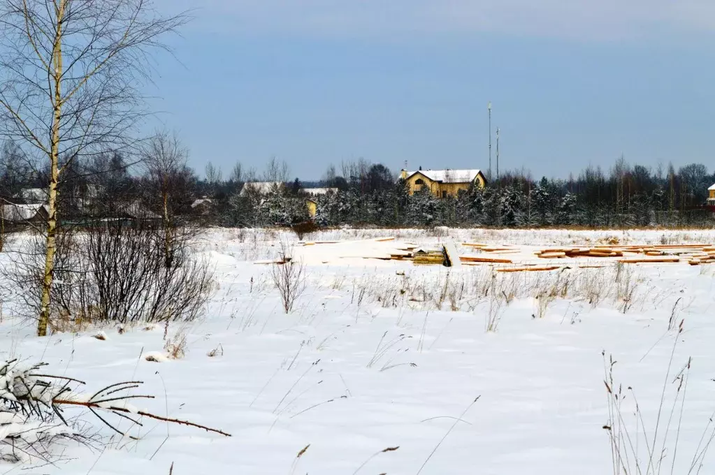 Участок в Московская область, Домодедово городской округ, с. Лобаново ... - Фото 1