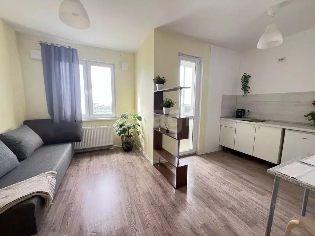 Студия Санкт-Петербург дор. Муринская, 12к2 (21.0 м) - Фото 1