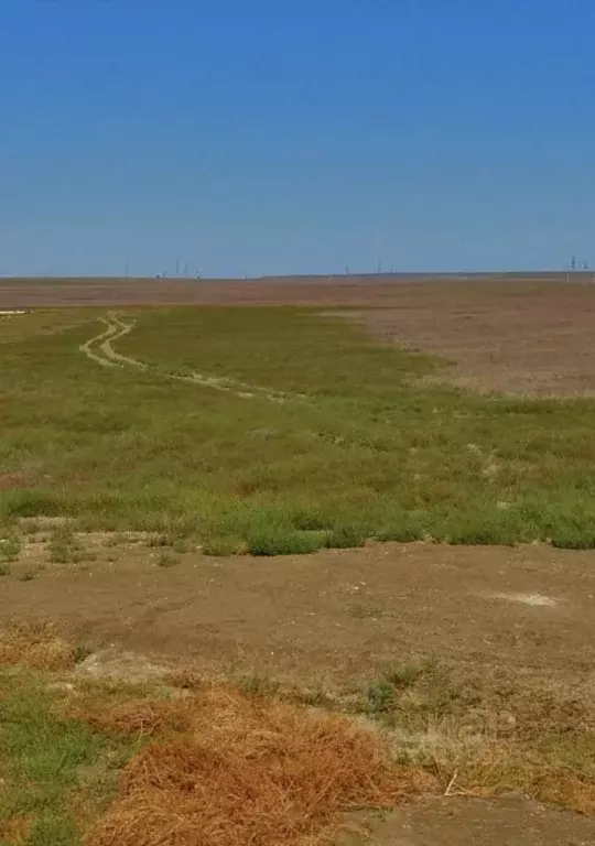 Участок в Крым, Ленинский район А-291, 78-й км (77537.0 сот.) - Фото 2