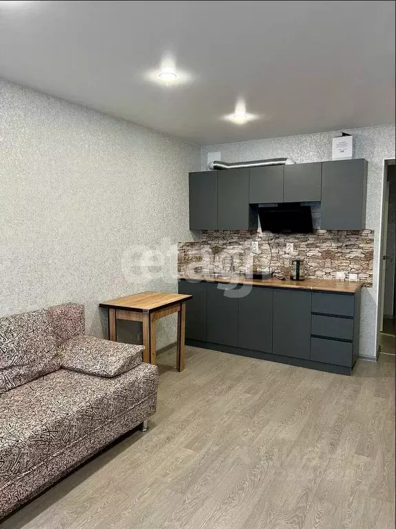 Студия Амурская область, Благовещенский район, с. Чигири Восточная ... - Фото 1