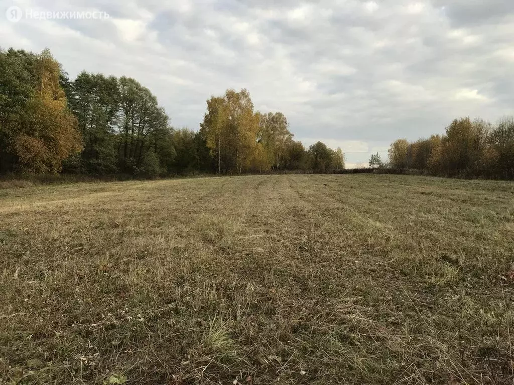 Купить Участок В Песках Коломенского Района