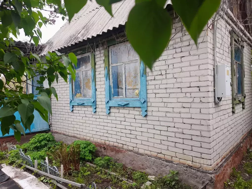 Дом в Курганская область, Курган Благодатное ТСН, 93 (20 м) - Фото 1