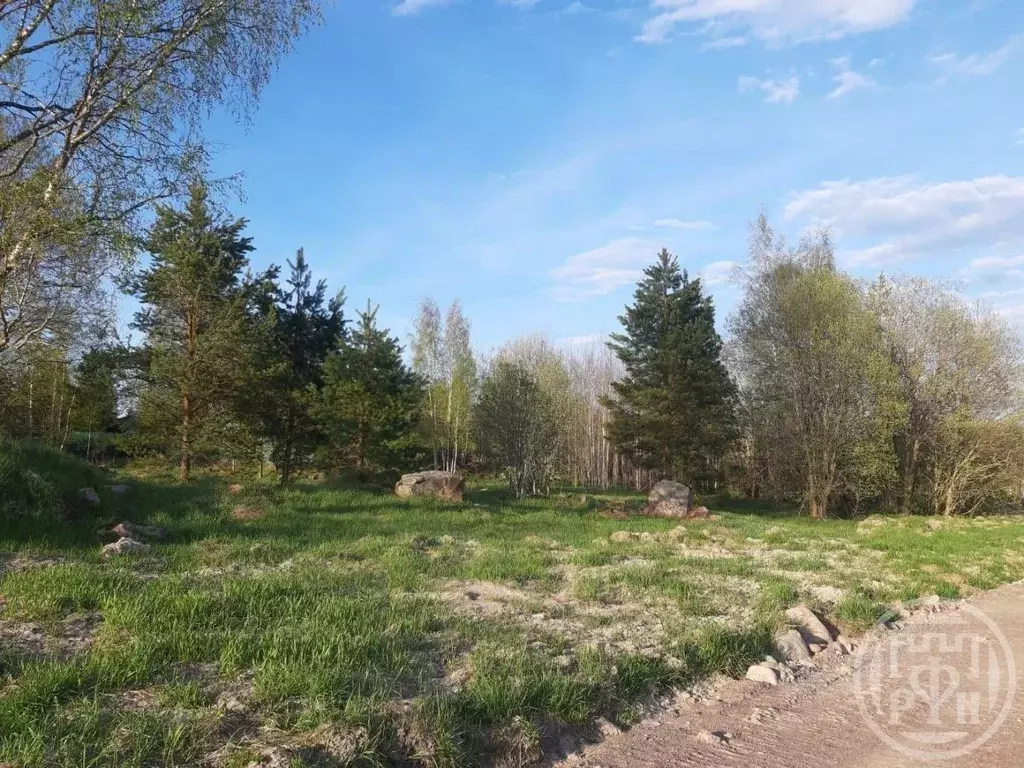 Участок в Ленинградская область, Приозерский район, Мельниковское ... - Фото 1