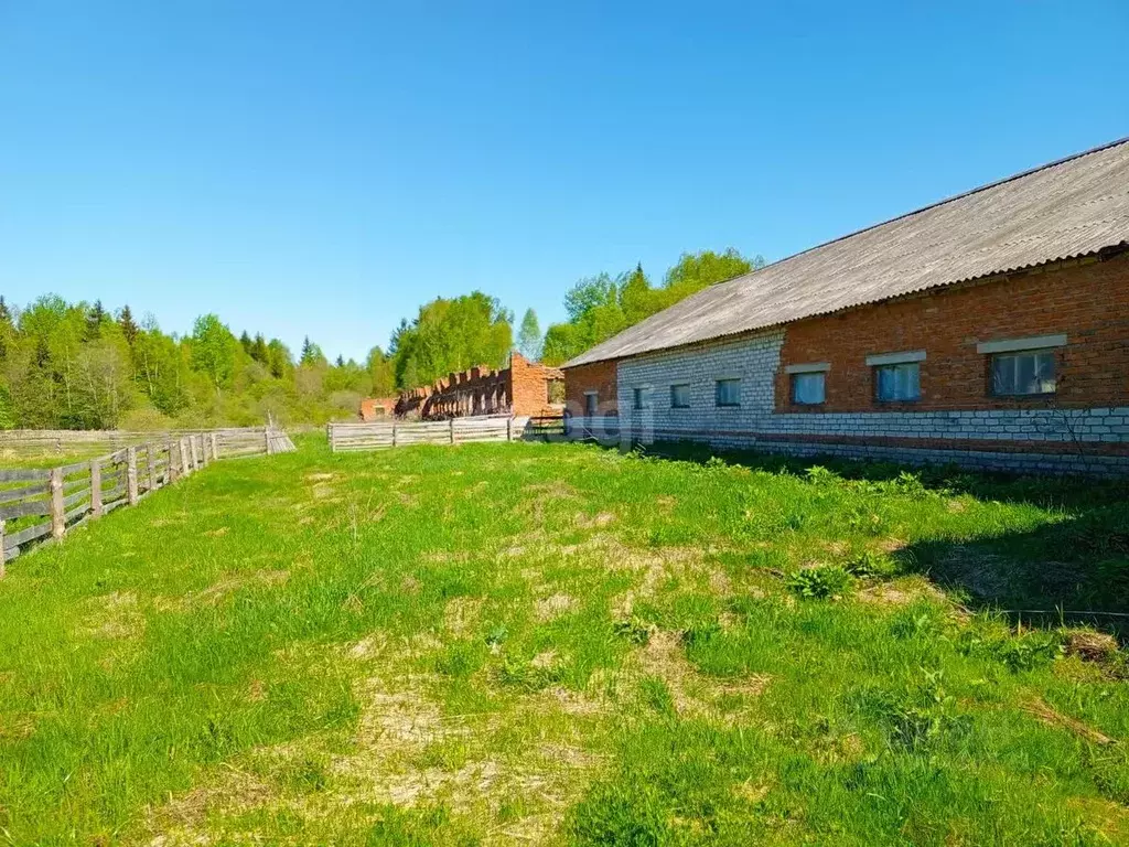 Производственное помещение в Смоленская область, Духовщина ул. ... - Фото 0