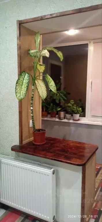 1-к кв. Псковская область, Псков ул. Кузбасской Дивизии, 38 (38.0 м) - Фото 2